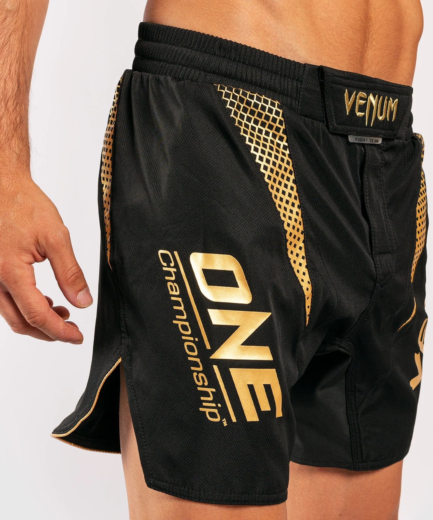 Venum x ONE FC Fightshorts - Image 14