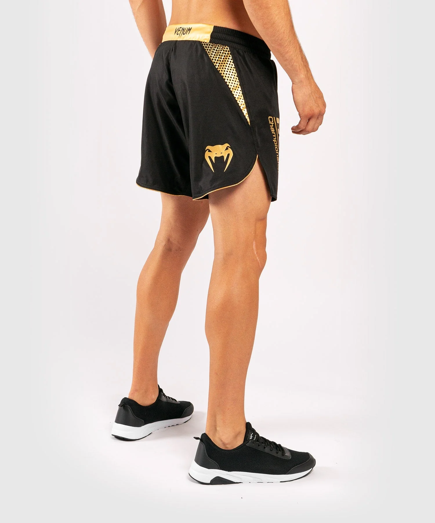 Venum x ONE FC Fightshorts - Image 5